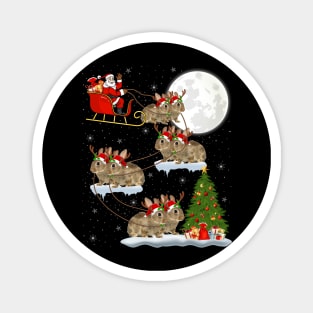 Funny Xmas Lighting Tree with Santa Rides Bunny at Christmas Magnet